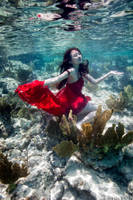 Red Coral by SachaKalis