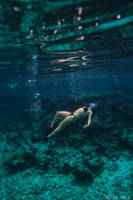 Seabed by SachaKalis