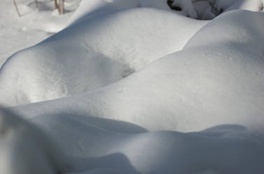 breasts in snow Use for nitrate nitrite test strips