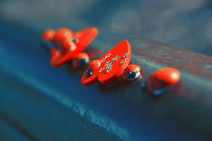 Life, short season by pavelstones