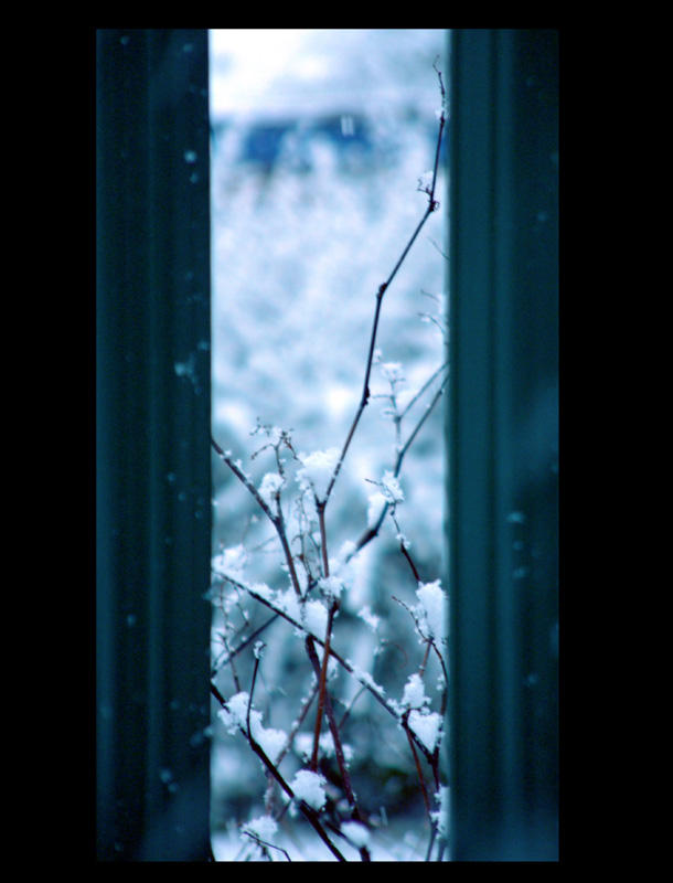 Snow through the bars by daemon-spyder