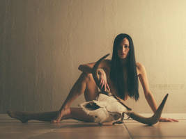 Seven Years Of by JaimeIbarra