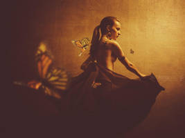 Command by JaimeIbarra