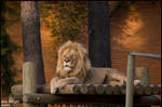 lion king by anarita82