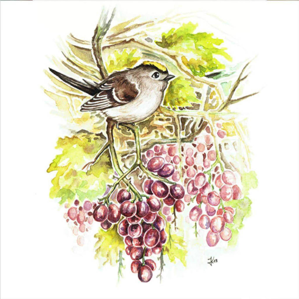 Goldcrest by kiriOkami