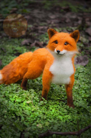 Fox felt sculpture, Fox named Finn 4 by Lyntoys Fox felt sculpture, Fox named Finn 4 by Lyntoys