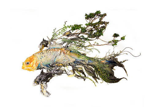 of great momentum and intention by creaturesfromel