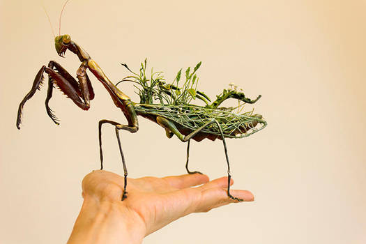 On seeing other options by creaturesfromel