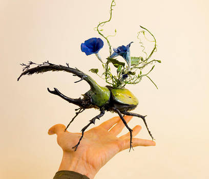 adding more insects to the menagerie by creaturesfromel