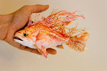 Incongruous Identity by creaturesfromel