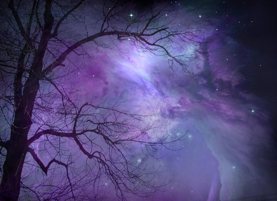 Tree and Nebula STOCK by wyldraven