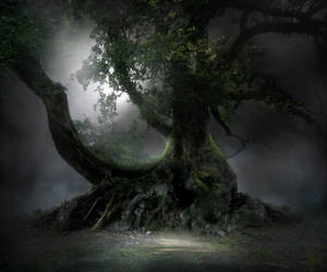 Spooky Tree Stock by wyldraven Spooky Tree Stock by wyldraven
