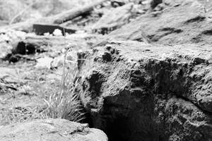 simply rocks by lindsaaaay