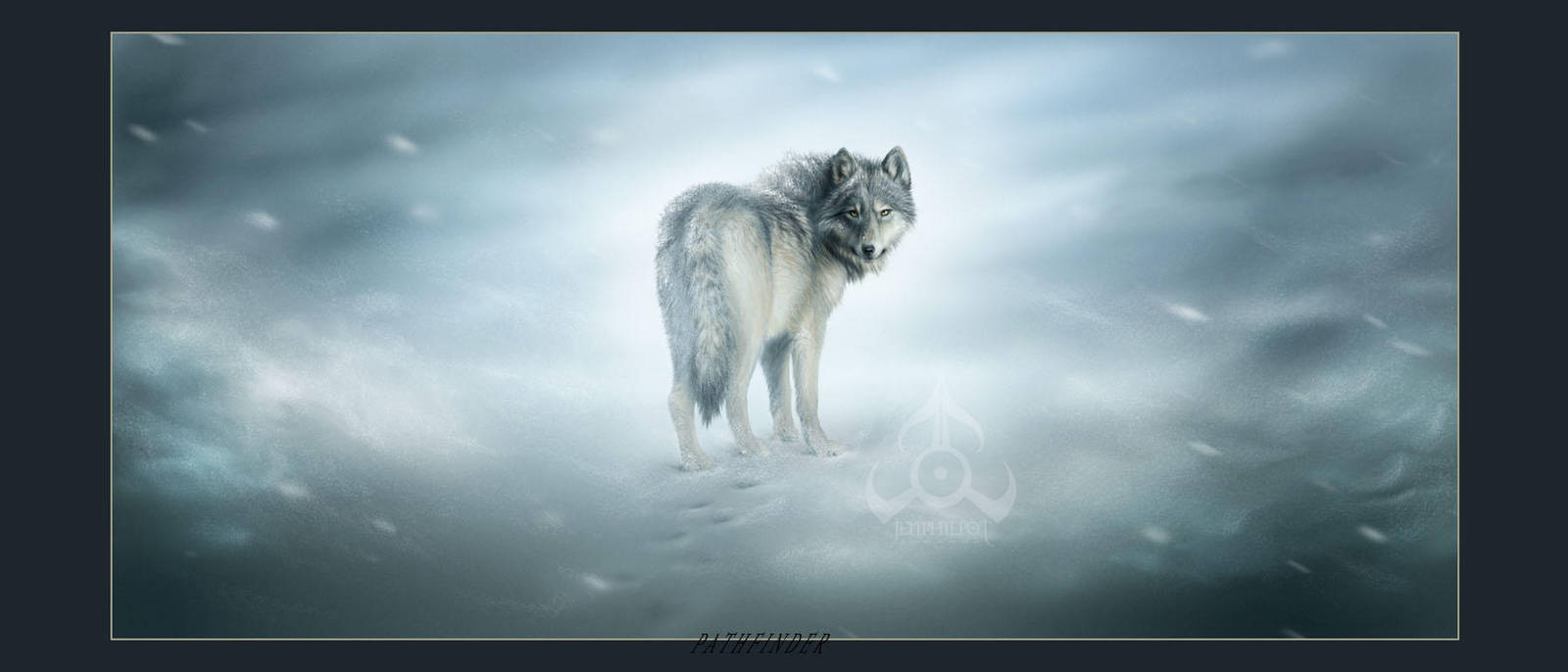 Commission: Pathfinder by jocarra