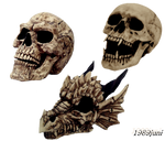 Stock Skull5 by 1989juni