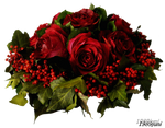 Stock photo rote Rosen by 1989juni