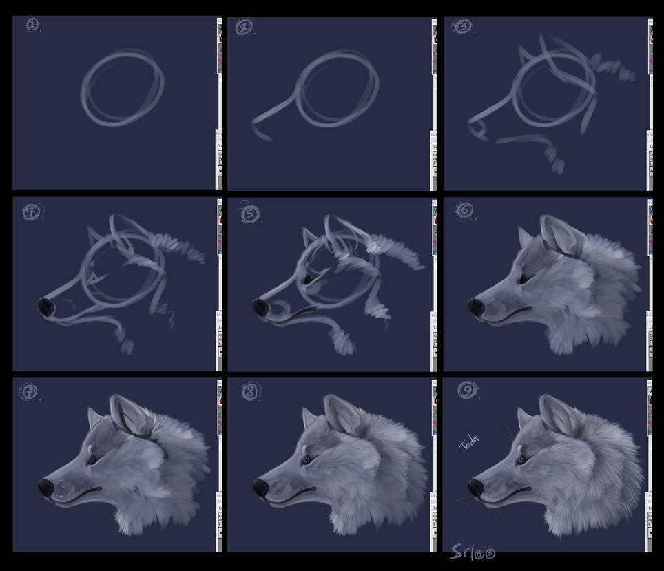 OC tutoral for Wolf Profiles by daisy7