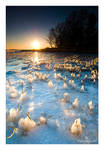 Ice Candles by theFouro