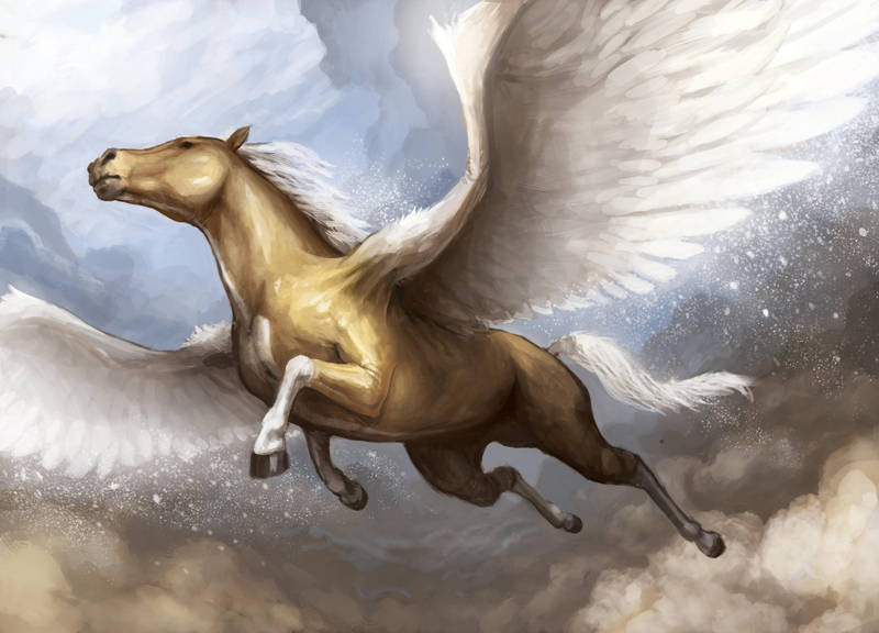 Sungrace Pegasus by Jackal0fTrades