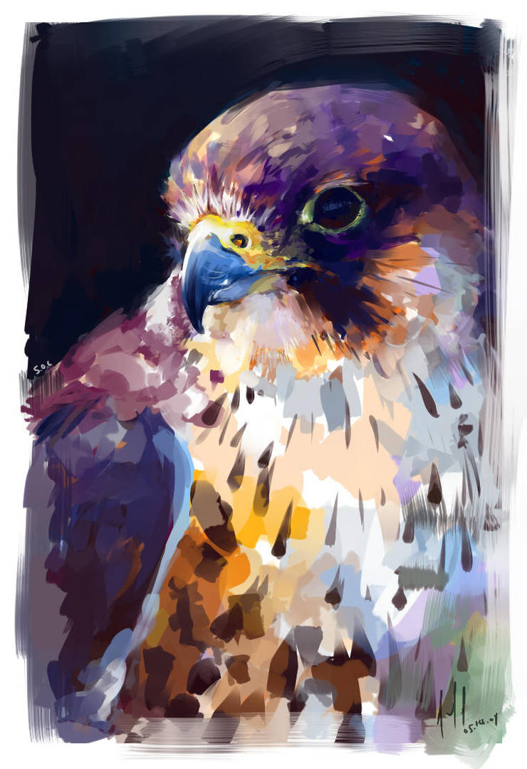 Lanner Falcon by Aucifiel