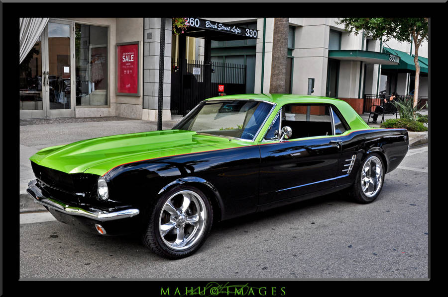 64 Mustang by mahu54