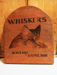 Whiskers by Itti