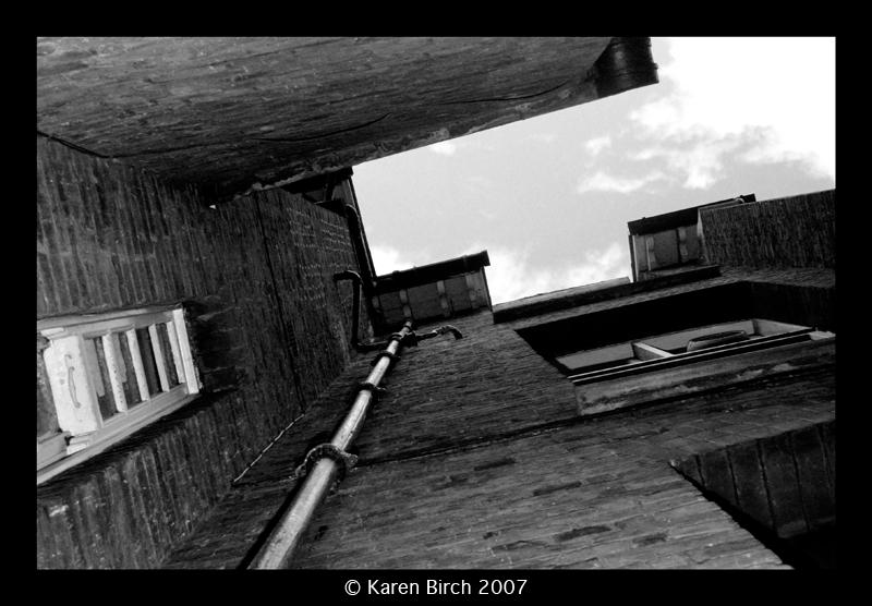 Vertigo by karenbirch
