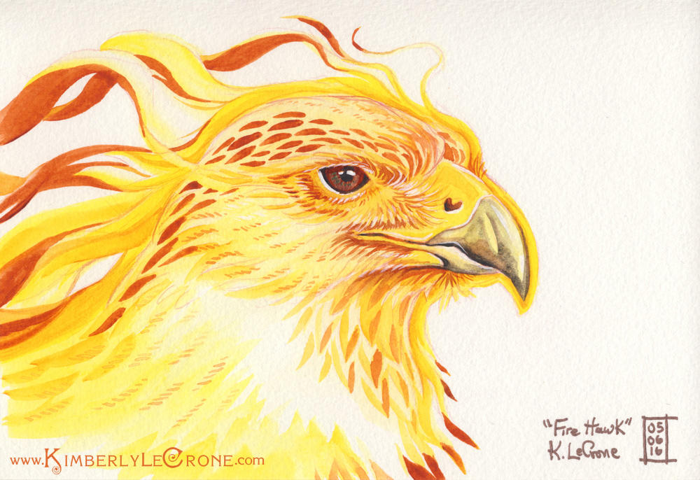 Fire Hawk by Dreamspirit