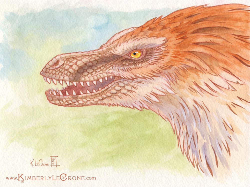 Raptor by Dreamspirit