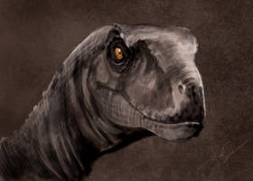 JP3 Male Velociraptor by yankeetrex on DeviantArt