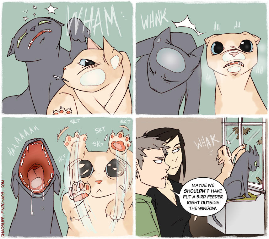 ChaosLife: Frustrated Felines by FindChaos