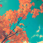 October Sky by sweet-reality-xo