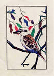 002 Kookaburra by Moss-Portland
