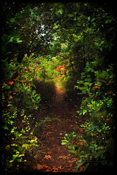 The Pathway by SublimeBudd