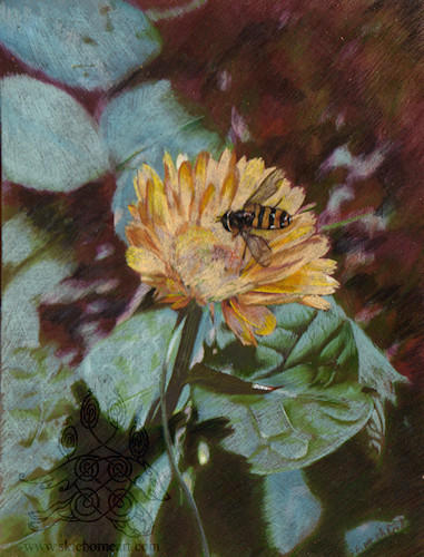 Pollinator by arikla