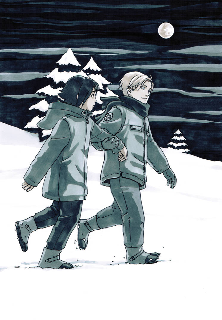 Vellians: Snowy, Snowy Night by dire-musaera