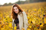 Soul of vineyards by Davidone33
