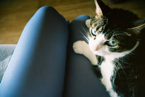 all is love by dulcemdd