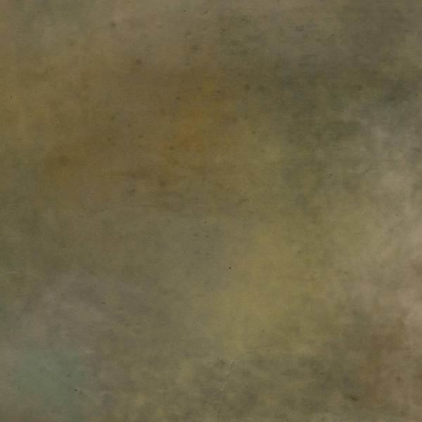 Texture 198 by CntryGurl-Designs