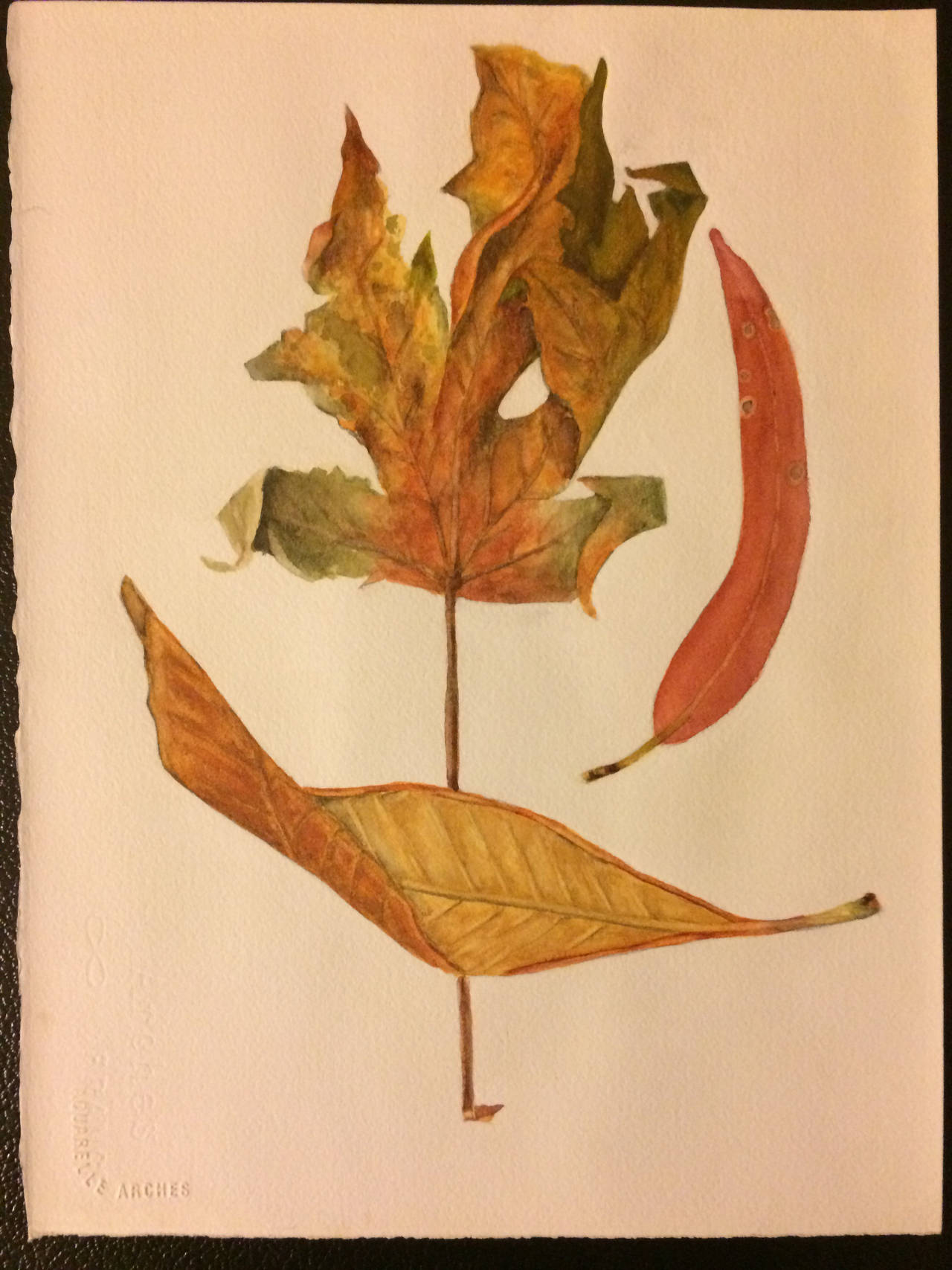 3 Dead Leaves Advance Watercolors By Erk TheJerk On DeviantArt