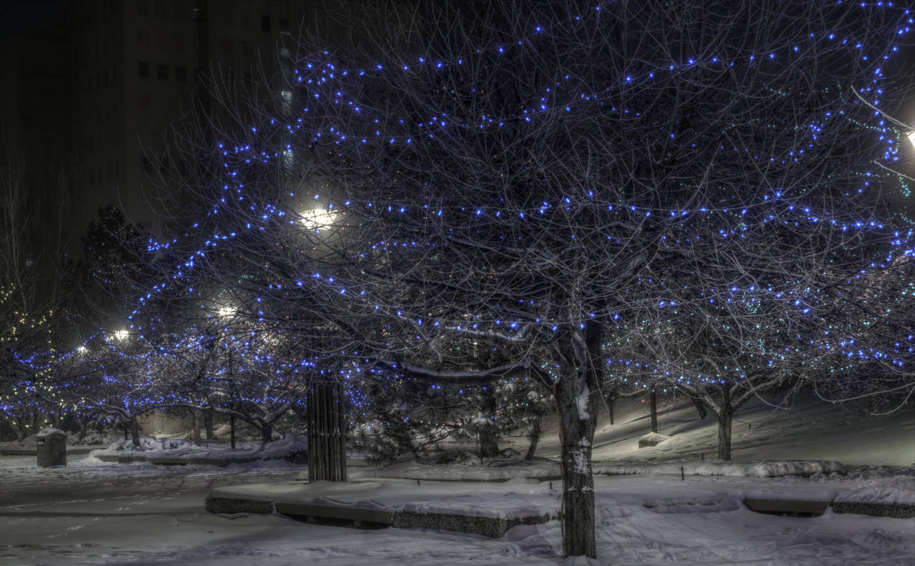 Legislature Grounds 2703 by schon