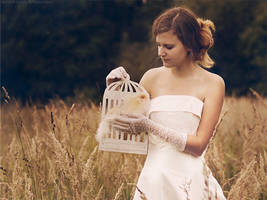 The story of little bird by Snowfall-lullaby