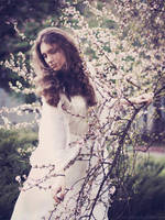 Sakura by Snowfall-lullaby