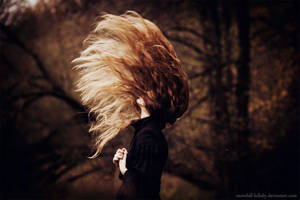 black raven heart by Snowfall-lullaby