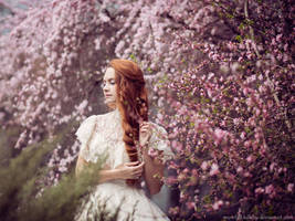 Pink cloud sakura by Snowfall-lullaby