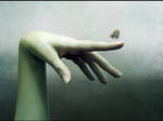 Free by Behana