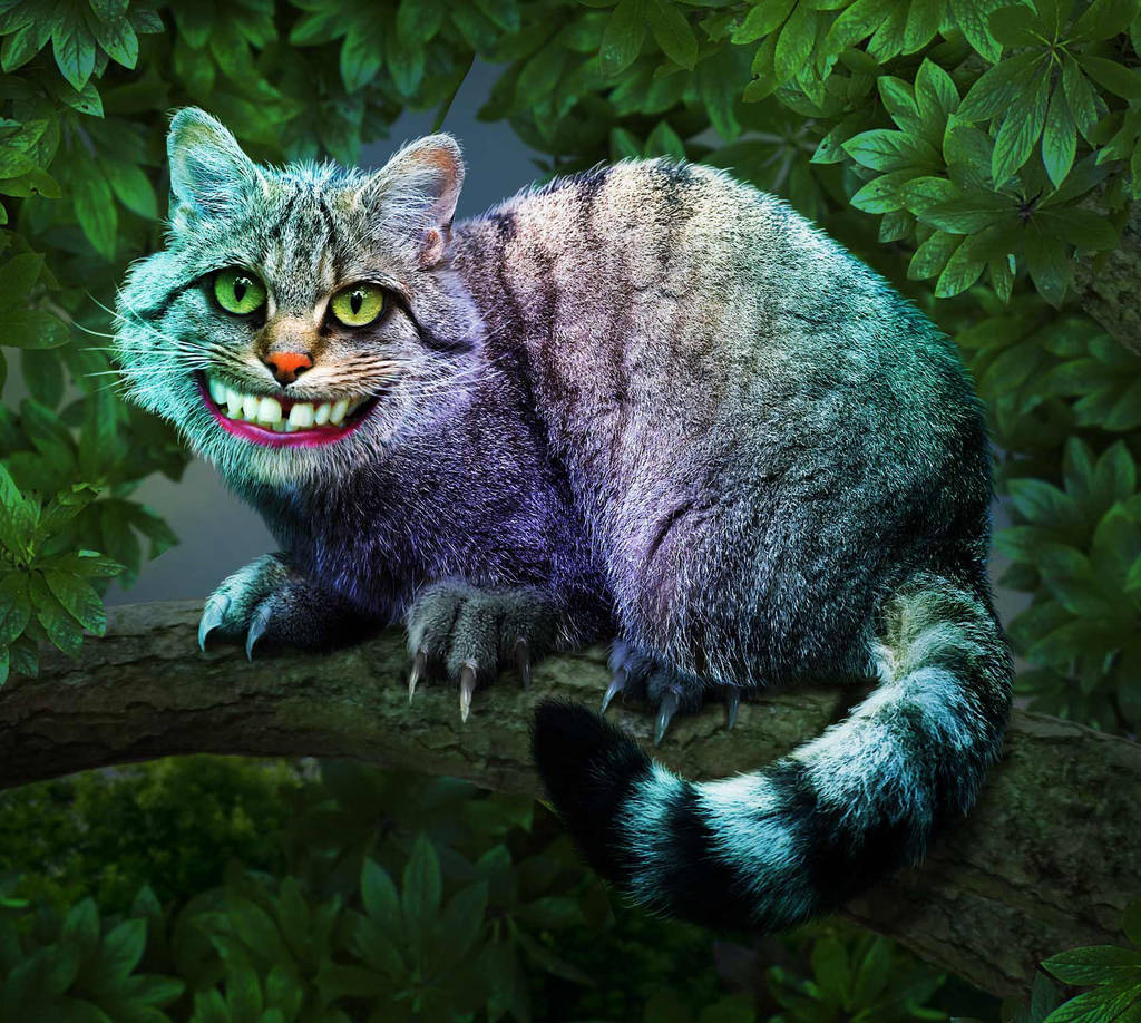 Cheshire Cat by ravenscar45