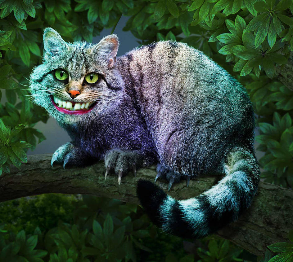 Cheshire Cat by ravenscar45