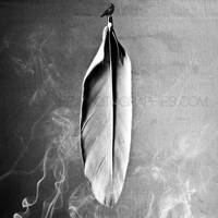 Burn Out by Ephemere8