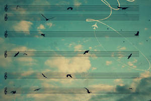 bird song by jesidangerously